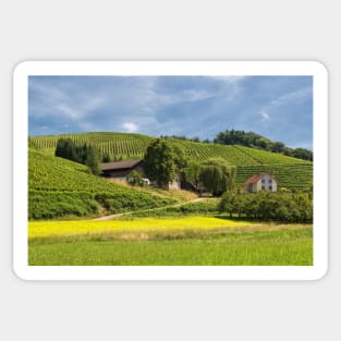 Vineyards near Oberkirch Sticker